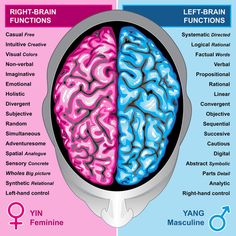 the left and right brain functions are shown in this diagram, which shows how they interact with each other