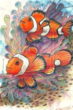 two clown fish are swimming in the water