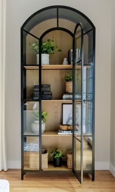 a glass display case with plants and books on it's shelves in a living room