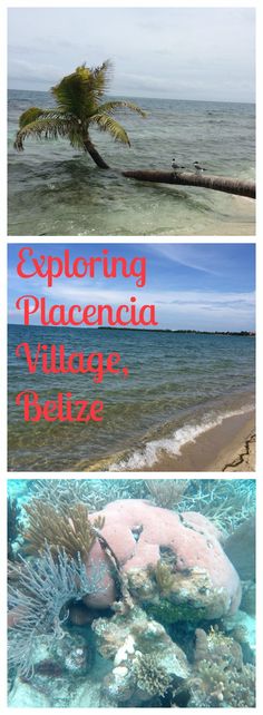 three different pictures with the words exploring placenta village, belize and palm tree