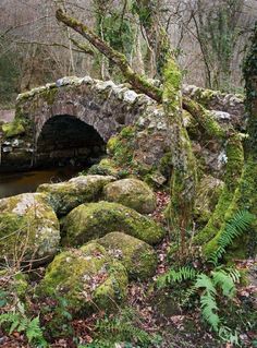 moss covered rocks surround a stone bridge in the woods