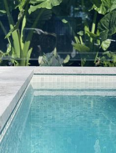 an empty swimming pool surrounded by lush green plants and greenery in the back ground