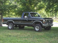 a black pickup truck parked on top of a lush green field next to a tree