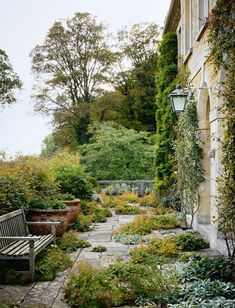 a stone path leads to a bench in the middle of an outdoor garden with lots of greenery