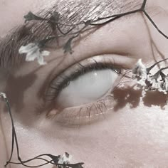 a woman's eye with white flowers on the outside of her irises and branches