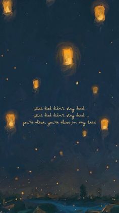 the sky is filled with lit lanterns and there are some words written on each lantern