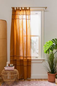 a living room with a window, rug and potted plant