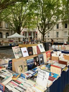 many books are on display at an outdoor book sale