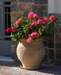 a potted plant with pink flowers sitting on a stone floor in front of a brick building