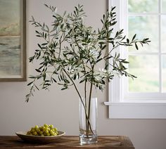 an olive tree in a vase next to a bowl of olives on a table