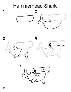 how to draw a hammerhead shark step by step instructions for kids and beginners