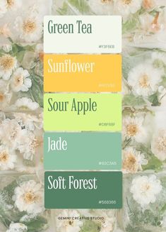 four different shades of green tea on top of each other with flowers in the background