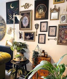 a living room filled with lots of different types of plants and pictures on the wall