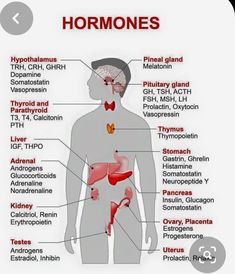 the anatomy of the human body with labels