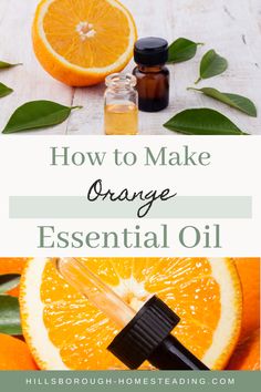 Infused Oil Recipes, Home Apothecary, How To Make Orange, Homemade Essential Oils, Diy Essential Oil Recipes, Be Powerful, Making Essential Oils, Essential Oils Guide, How To Make Oil