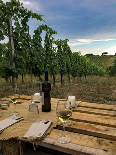 Primo piano: due bicchieri di vino bianco e una bottiglia. Sullo sfondo: vigneto di Frascati Vineyard Wine Tasting Aesthetic, Wine Vineyard Aesthetic, Natural Wine Aesthetic, Winery Aestethic, Wine Tasting Aesthetic, Winery Aesthetics, Vine Aesthetic, Aesthetic Wine