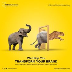 two elephants and a cheetah in front of a mirror with the caption we help you transform your brand