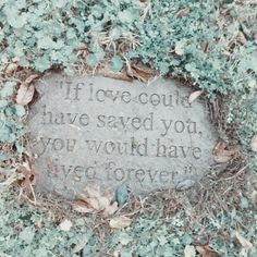 a stone in the ground with writing on it that says if love could have saved you, you would have veggies forever