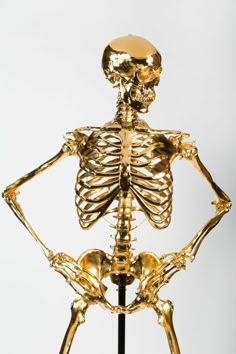 a golden skeleton is standing upright on a black stand with its back turned to the camera