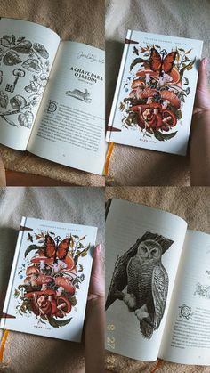 an open book with pictures of birds and flowers on it, in four different positions