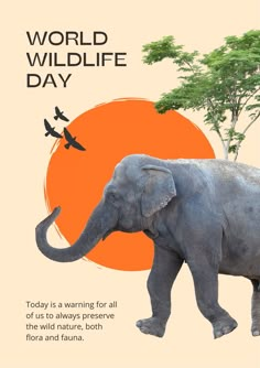 an elephant walking in front of a tree with birds on it's back and the words world wildlife day written below