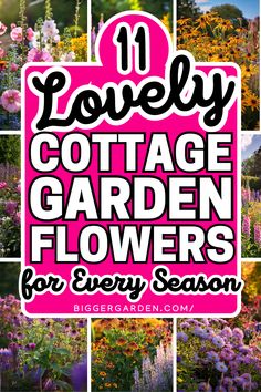 Plan a stunning cottage garden with our seasonal guide to 14 flowers. Whether you're planting in spring, summer, or fall, this guide shows you the best flowers for each season, ensuring your garden stays colorful and inviting all year long Cottage Garden Flowers