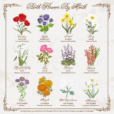 the different types of wildflowers are shown in this vintage style poster, which includes flowers