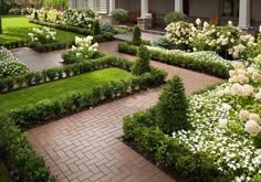 a garden with white flowers and greenery in front of a house on a sunny day