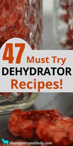 the words 47 must try dehydraator recipes are in front of some jars