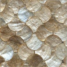 a close up view of the shell pattern on a wall