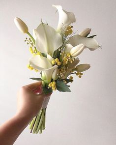 a hand holding a bouquet of white flowers