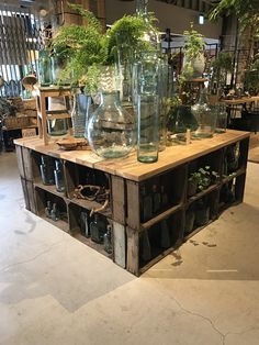 several vases are sitting on top of a wooden table with plants in the middle