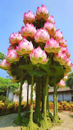 the large pink flowers are growing in the garden