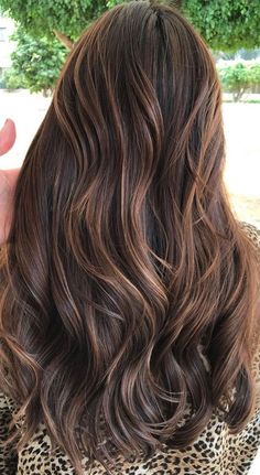 Dark Brown Hair With Caramel Highlights And Lowlights, Brown Hair With Subtle Highlights, Dark Brown Hair With Lowlights, Chocolate Brown Hair With Highlights, Hair With Brown Highlights, Subtle Brown Highlights, Subtle Blonde, Mocha Brown Hair, Mocha Color Hair