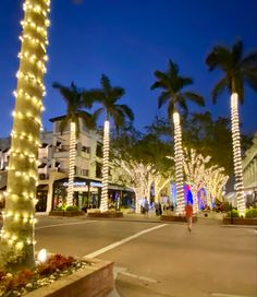 the palm trees are decorated with christmas lights