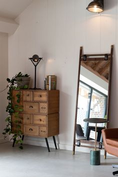 a room with a chair, mirror and plant in it