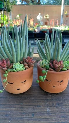 two potted succulents with faces drawn on them sitting on a table