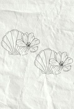 three seashells on white paper with black ink