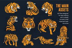 an image of tigers in different positions on a black background with the words, the main asset