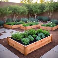 a garden filled with lots of green plants next to a brown fenced in area