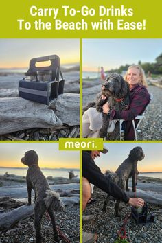 a woman sitting in a chair next to a dog on the beach with text that reads, carry to - go drinks to the beach with ease