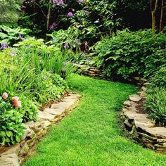 a garden with lots of green grass and flowers