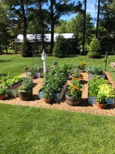 a garden filled with lots of different types of plants and flowers on top of grass