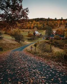 a country road in the fall with leaves on the ground and houses along side it