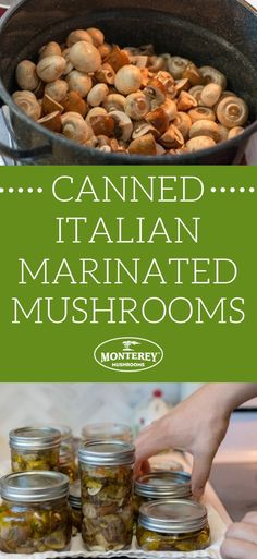 canned italian marinated mushrooms in jars with text overlay