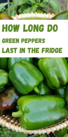 Green Peppers How To Store Green Peppers, How To Store Green Peppers In Fridge, How To Use Up Green Peppers, How To Keep Peppers Fresh Longer, What To Do With Green Peppers, Green Pepper Pizza, Growing Green Peppers, How To Pickle Peppers