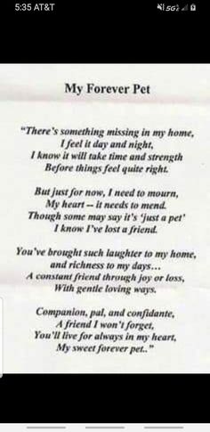 a poem written in white paper with the words,'my forever pet there's something missing in my home, i get to say and not