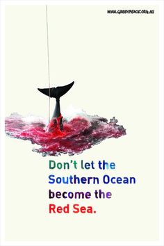 a poster with the words don't let the southern ocean become the red sea