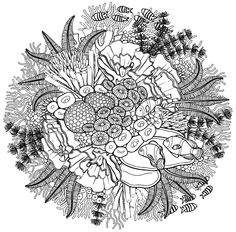 a black and white drawing of flowers in the middle of a circular arrangement with pine cones