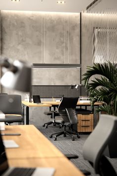 an office with desks, chairs and plants in the middle of the room that is empty